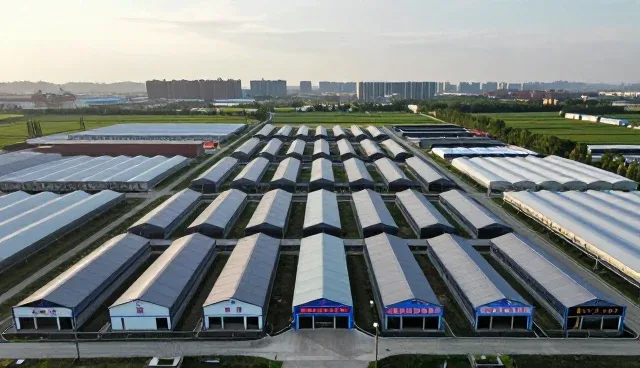 市场定位如何驱动品牌咨询中的流程优化实践